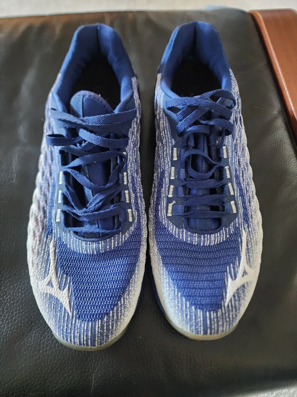 Mizuno TF-01 Running Shoes